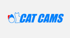 Logo Cat Cams